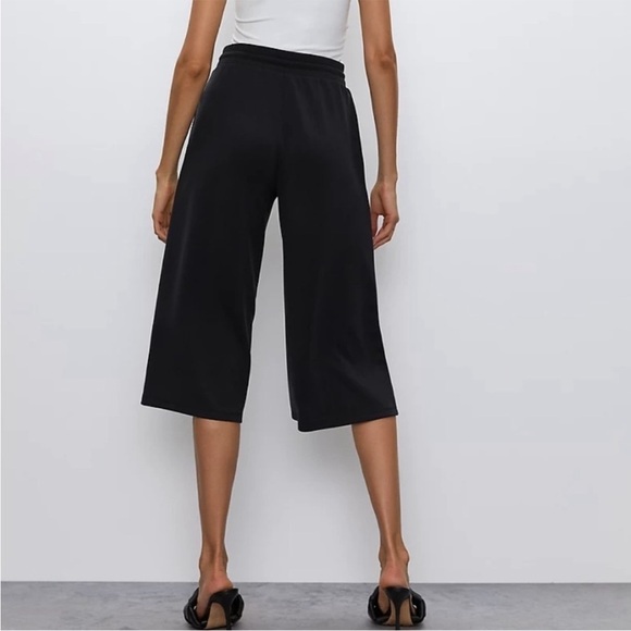 Aritzia Babaton Luiz Wide Leg Pant Medium NWT - Picture 9 of 9